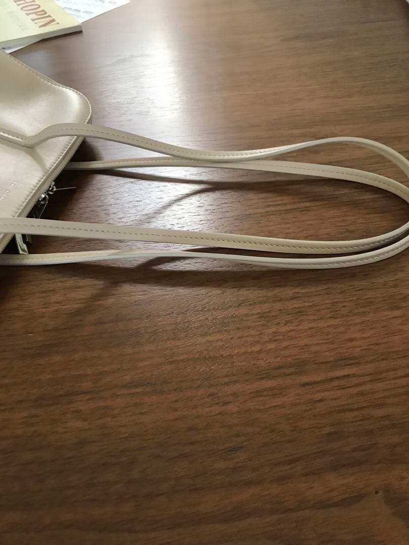 ザロウ　THE ROW SIAMESE ショルダーバッグ　ハンドバッグ