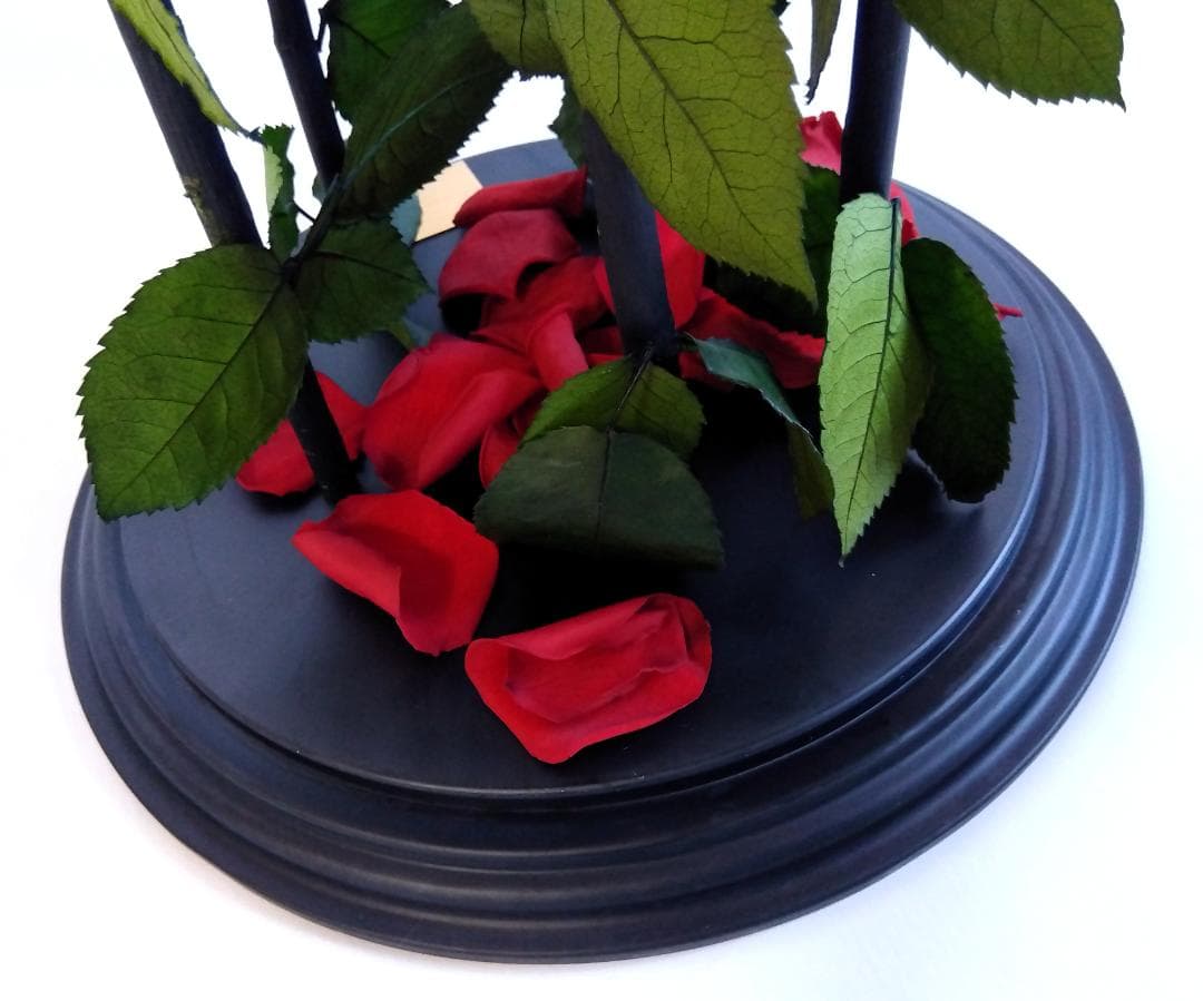 ROSE GALLERY 銀座 プリザーブドローズ(5本立ち) ドームケース付き