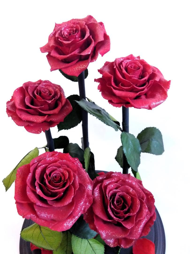 ROSE GALLERY 銀座 プリザーブドローズ(5本立ち) ドームケース付き