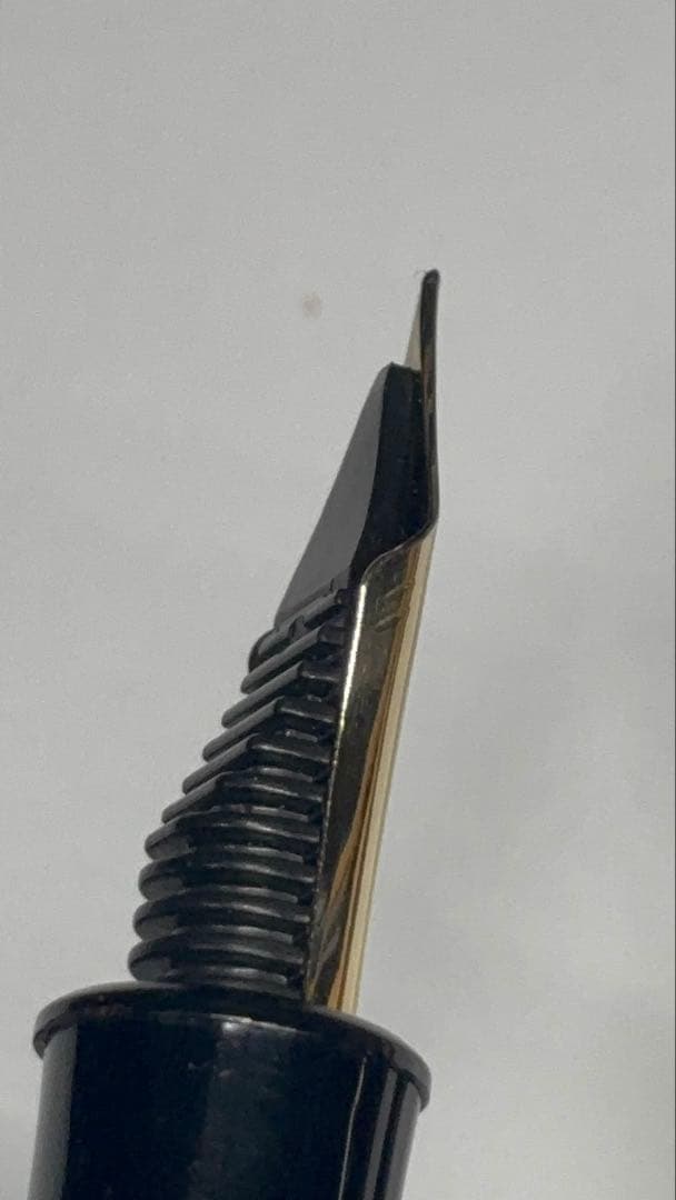 中屋万年筆廃盤バランスコントロールクロロ中字、ノーマルタイプ漆クロロ万年筆細字