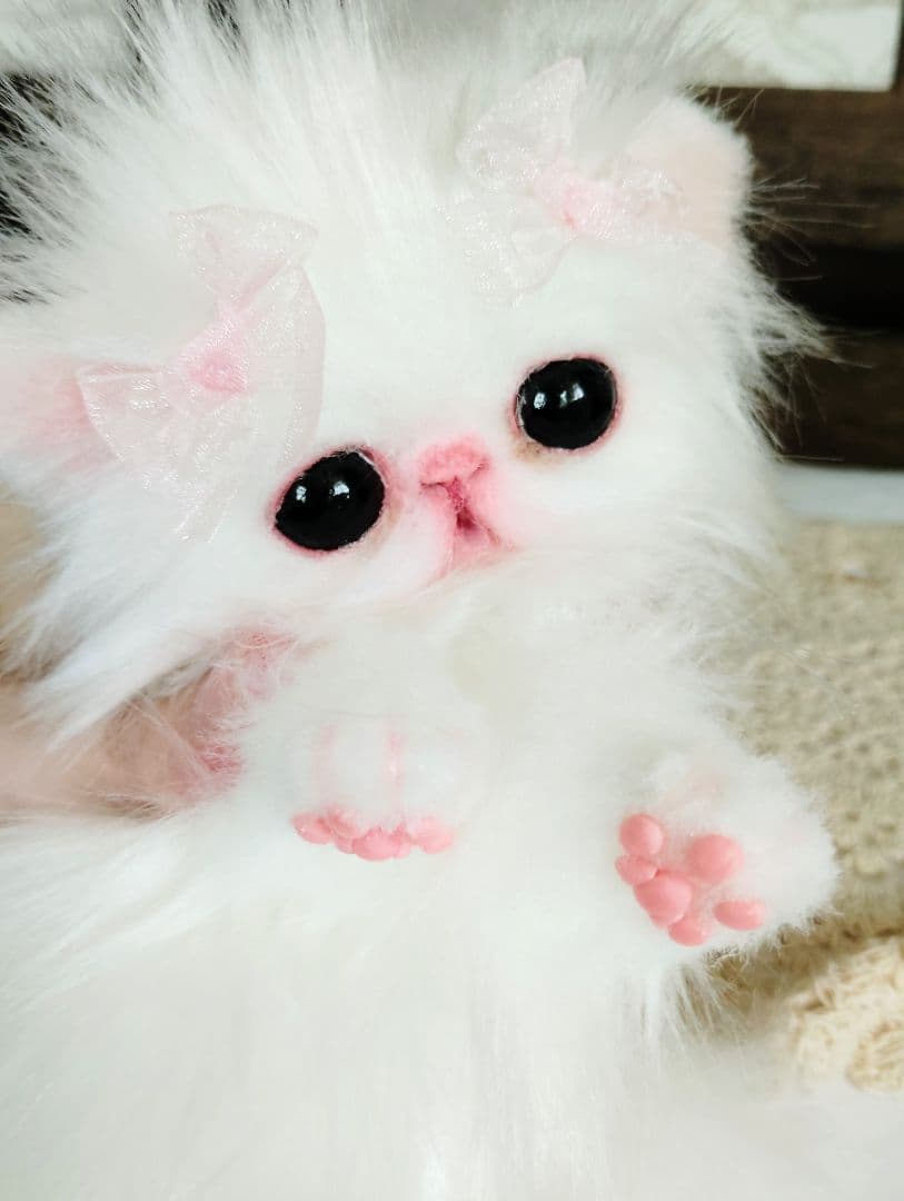 きゅるんオメメ♡子猫のレモンちゃん♡エキゾチック♡アートドール♡ぬいぐるみ♡
