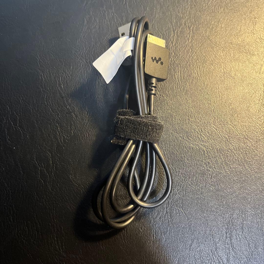 SONY WALKMAN ウォークマン NW-A45HN ムーンリットブルー