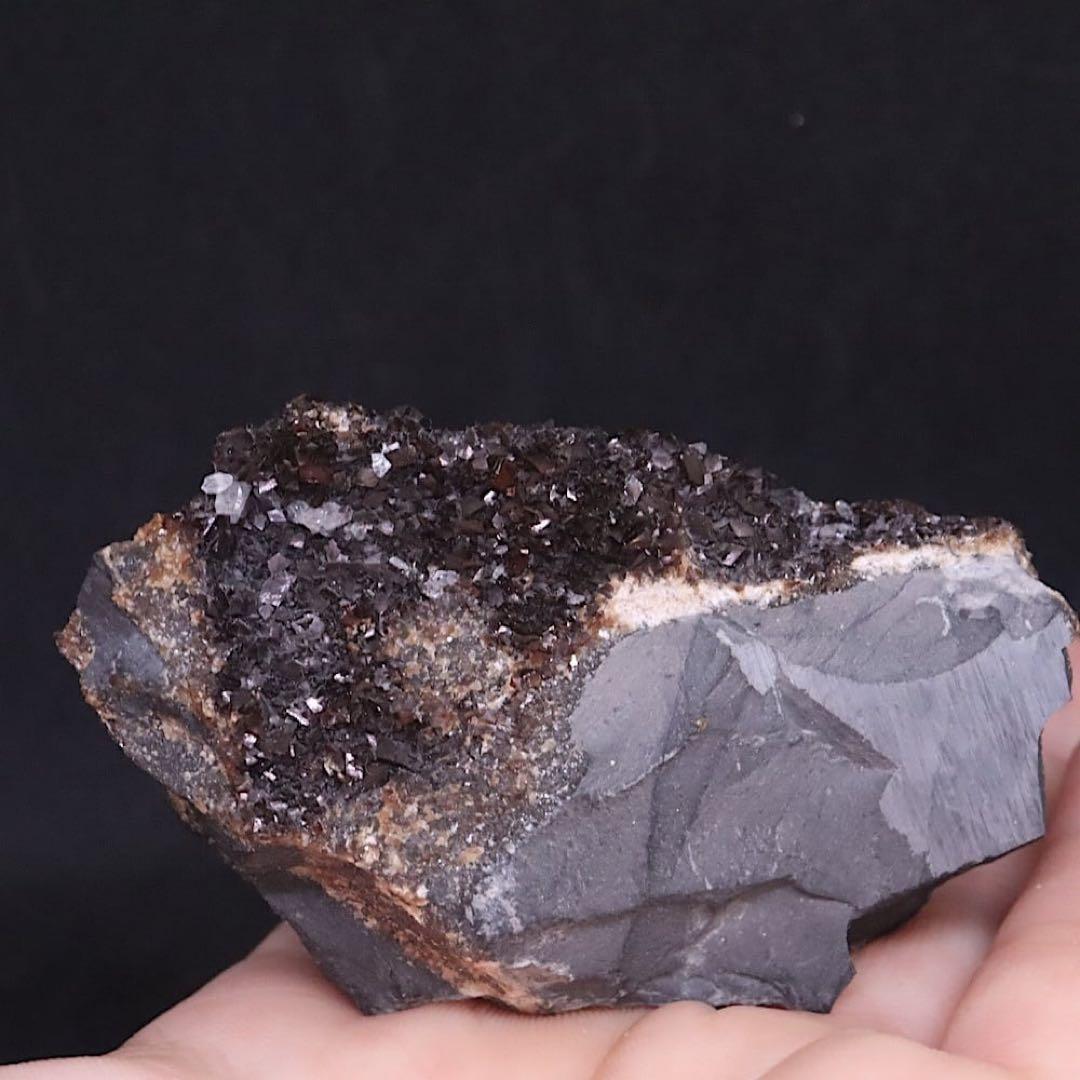 りりごごページ！3点