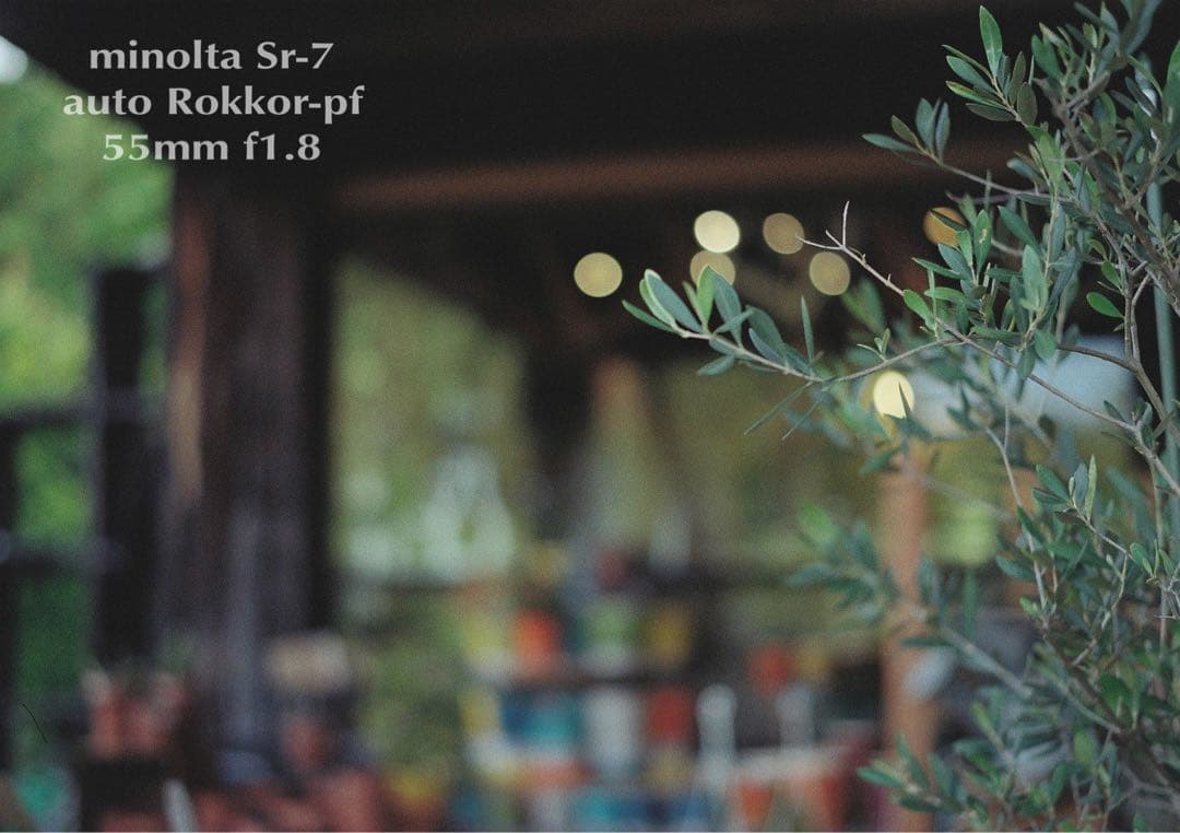 ★作例必見！完動品＊美品＊初期保証★minolta sr-7&緑のロッコール