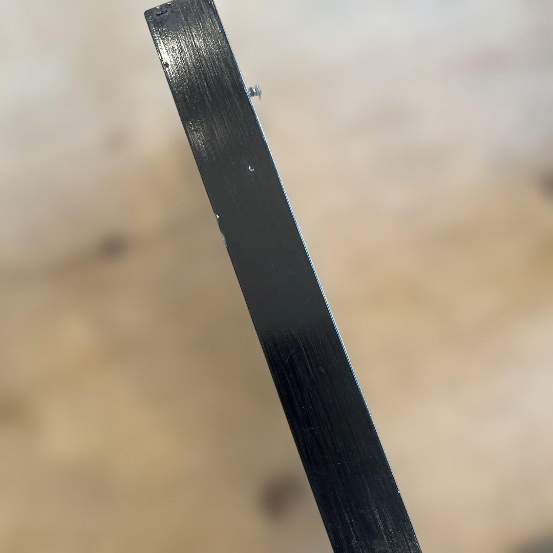 ヴィンテージマレーシアマレーオオナナフシ　標本　昆虫