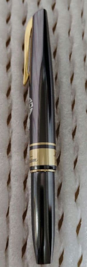 万年筆　プラチナ　14K　細字