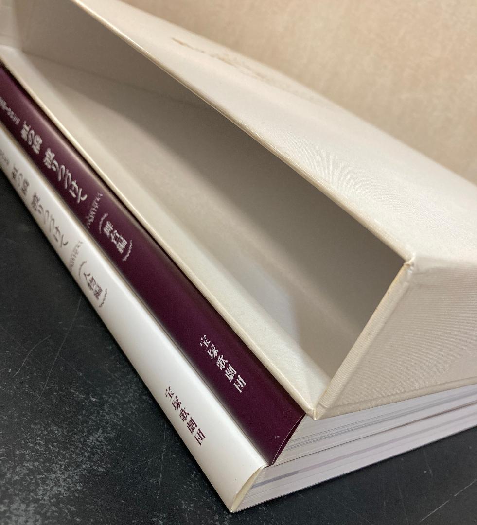 宝塚歌劇100年史　虹の橋　渡りつづけて