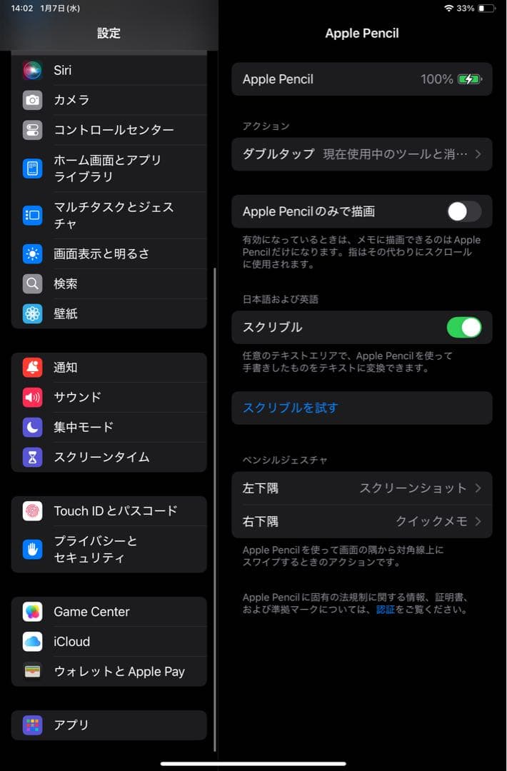 Apple Pencil 第二世代 MU8F2J/A 正規品