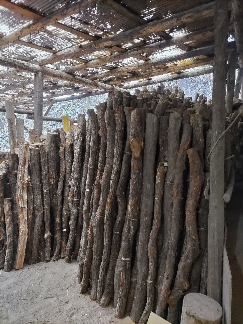 紀州備長炭 七輪用　11kg