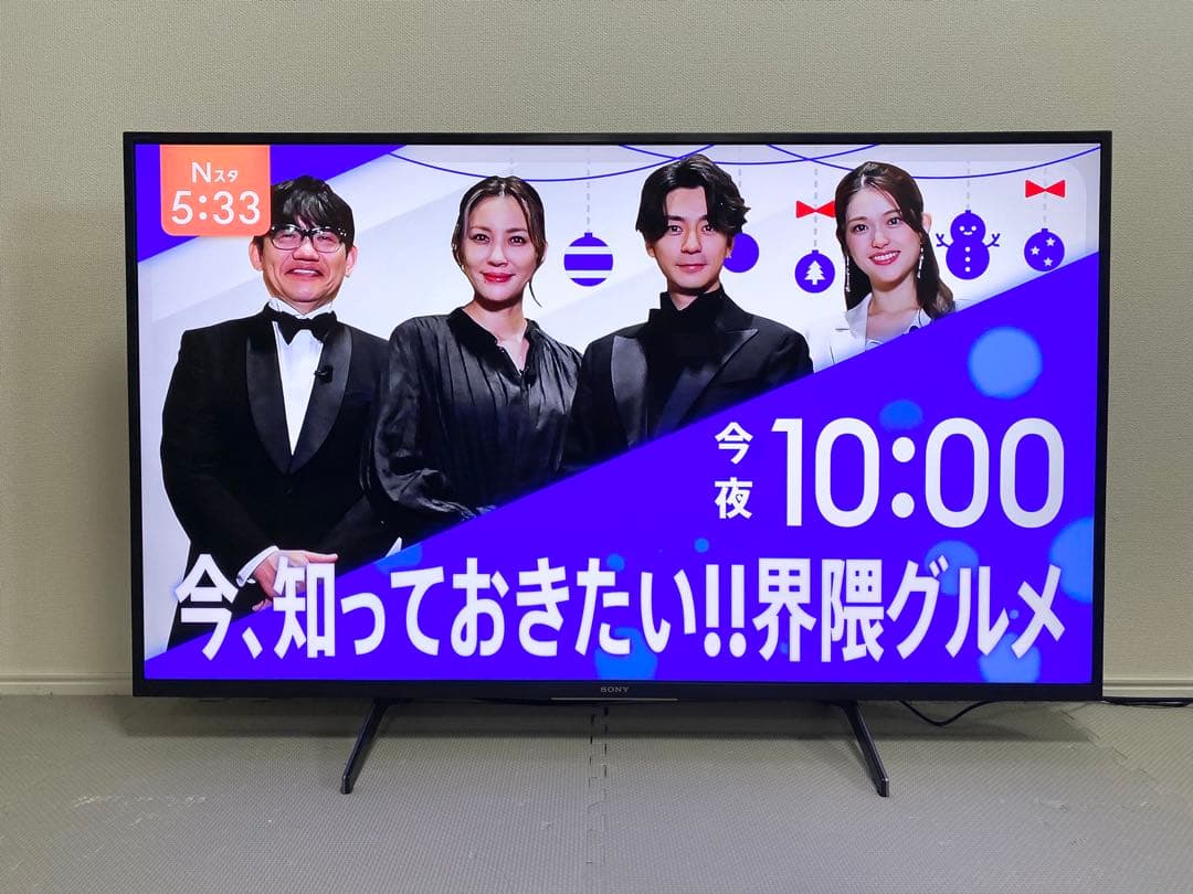 橋本健一 SONY BRAVIA KJ-49X8000H 4K テレビ