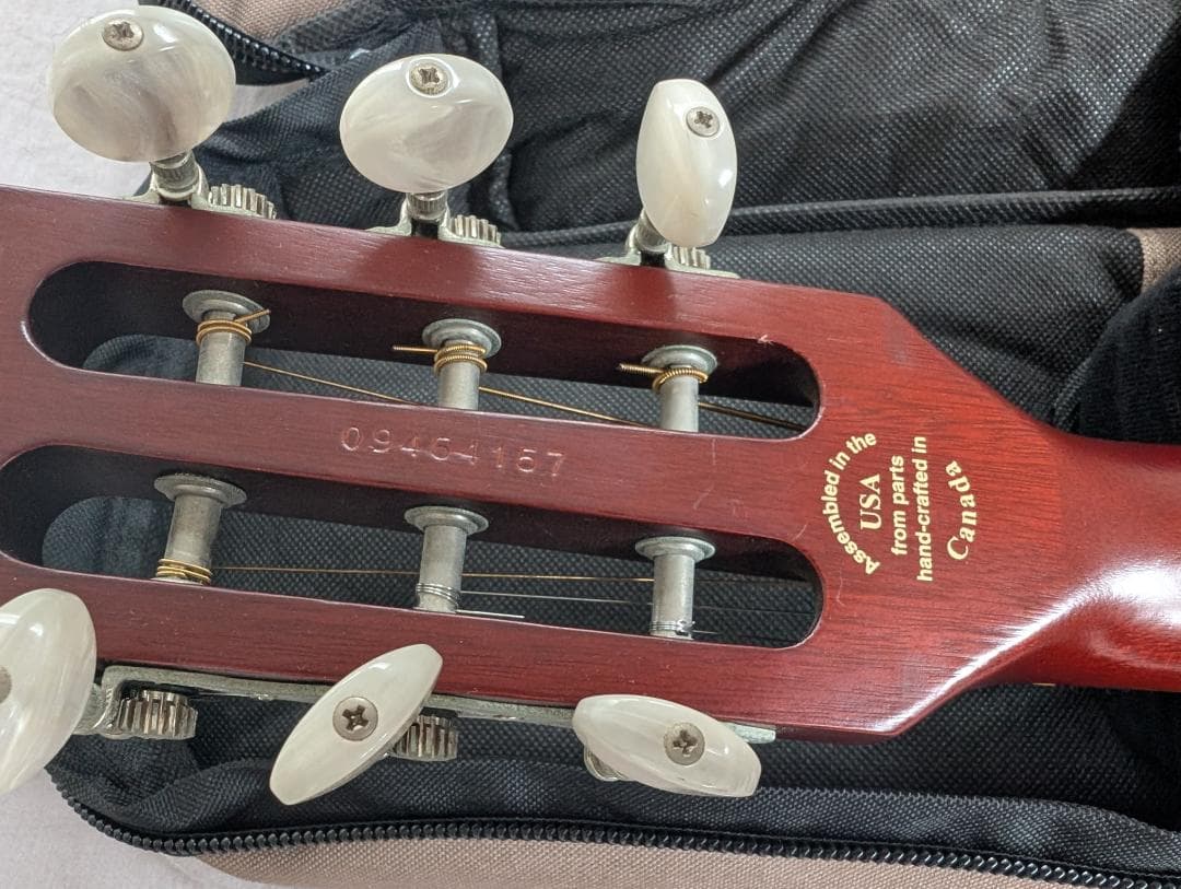 Godin Multiac Steel Duet ゴダン スチール デュエット