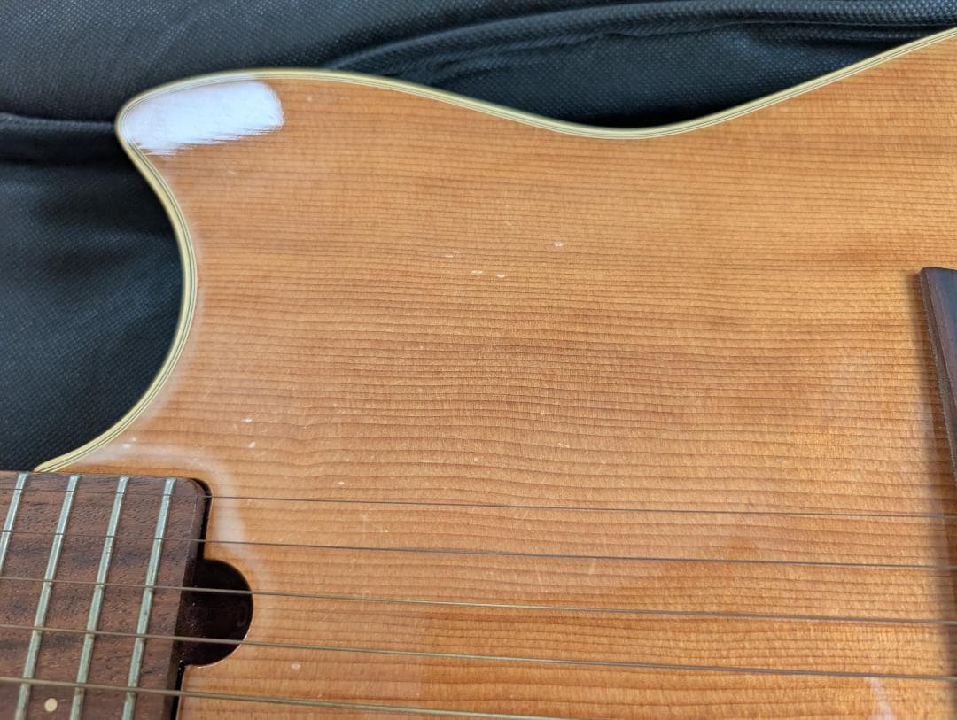 Godin Multiac Steel Duet ゴダン スチール デュエット