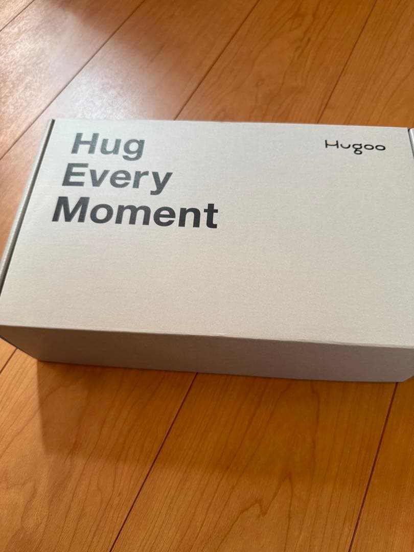 2025年10月購入　Hugoo Dual Hip Seat 黒