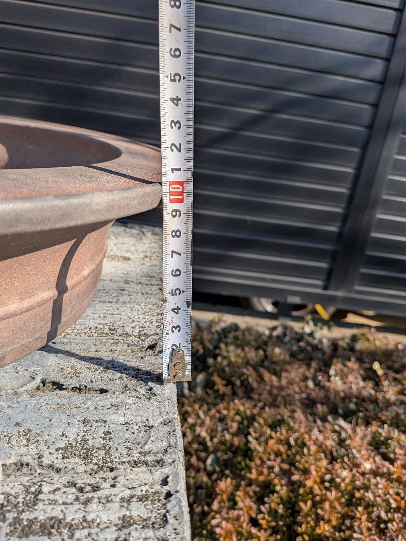 盆栽鉢 喜仙造　外縁胴紐楕円形