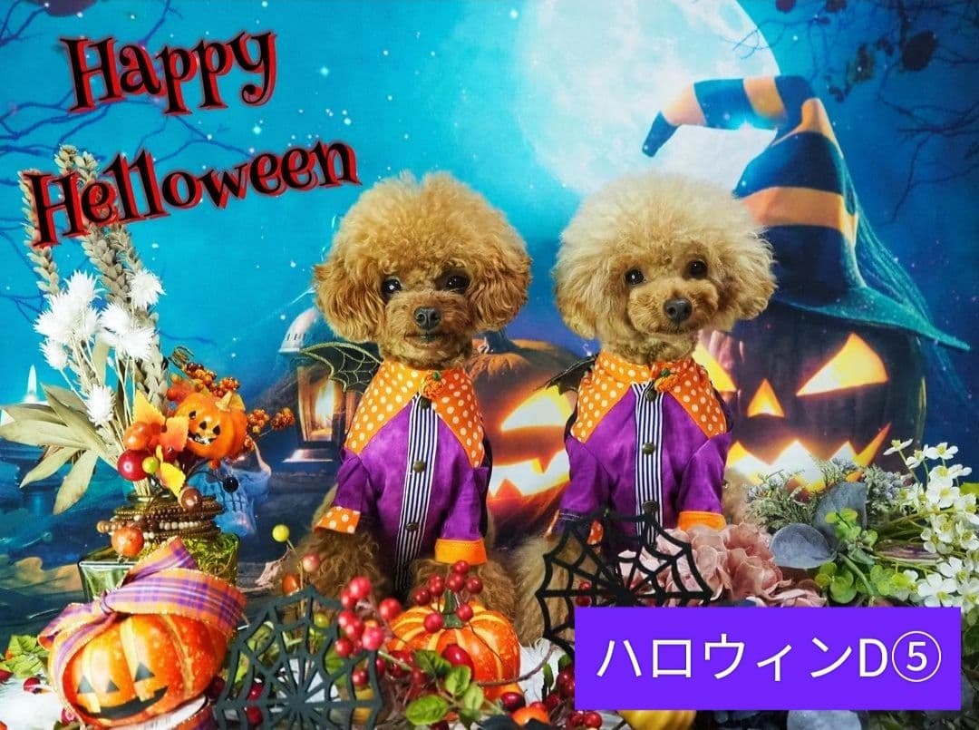 背景布　【　ハロウィンE　】　サンプル　パーティー、ペット撮影用　タペストリー