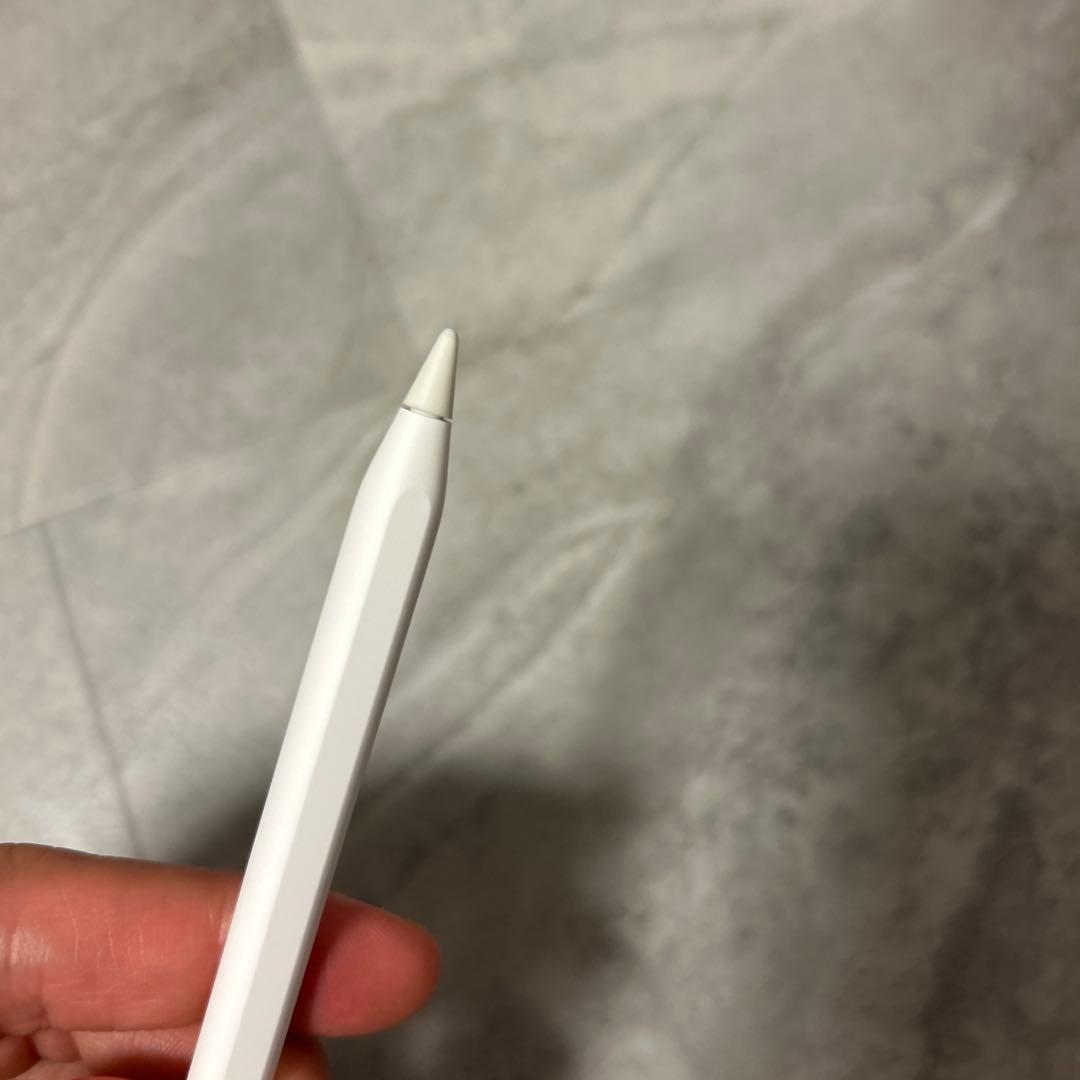 iPad Pro 12.9インチ 第3世代 1TB Apple pencil付き