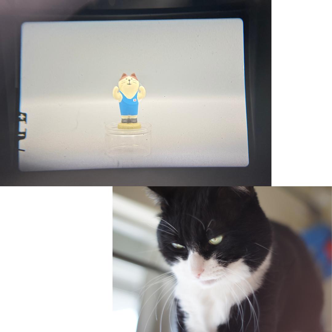 整備 Olympus OM-1 MD 50mm F1.4 135mm 接写リング