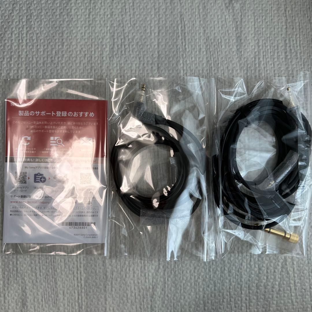 ソニー ウォークマン NW-WM1AM2 4点セット