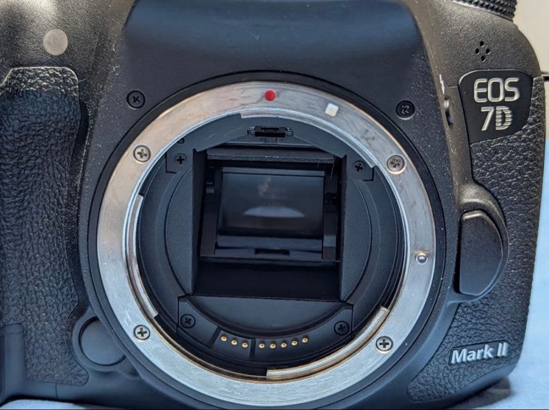 Canon EOS 7D Mark2 レンズ28-300 グリップ付き