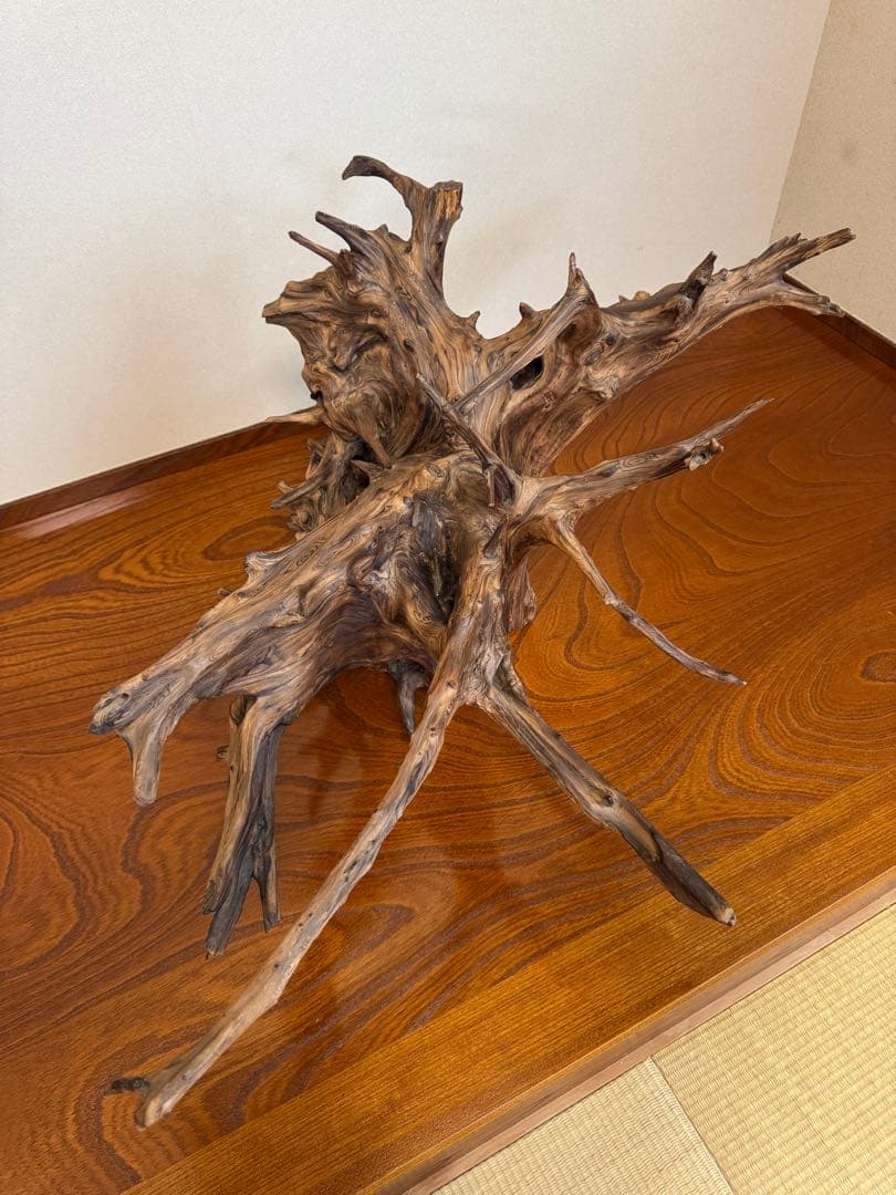 とても美しい流木　特大　水槽　インテリア　美術品　アクアリウム　中庭　玄関