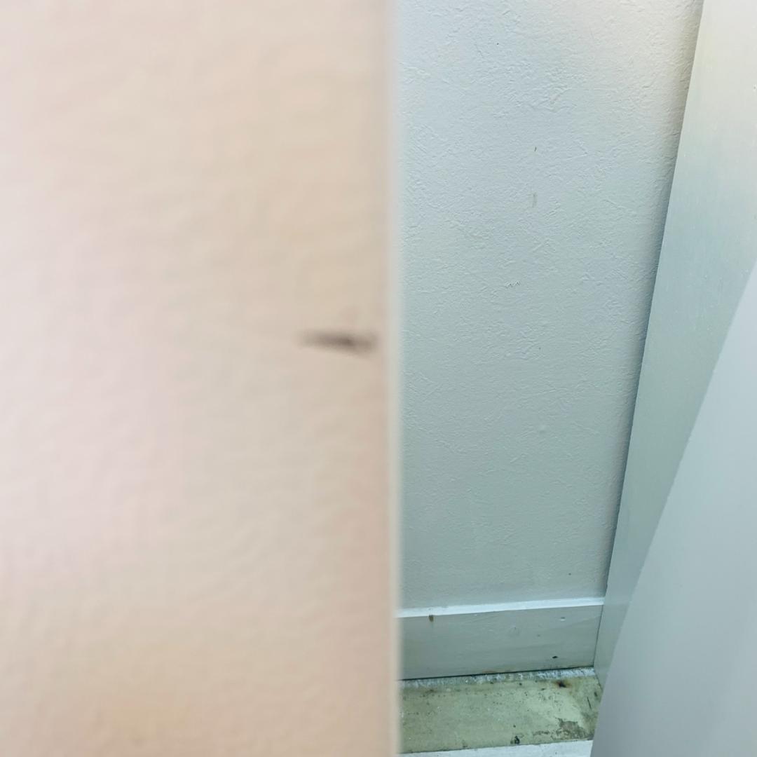 ハイセンス Hisense ノンフロン冷凍庫 HF-A61W 耐熱トップテーブル