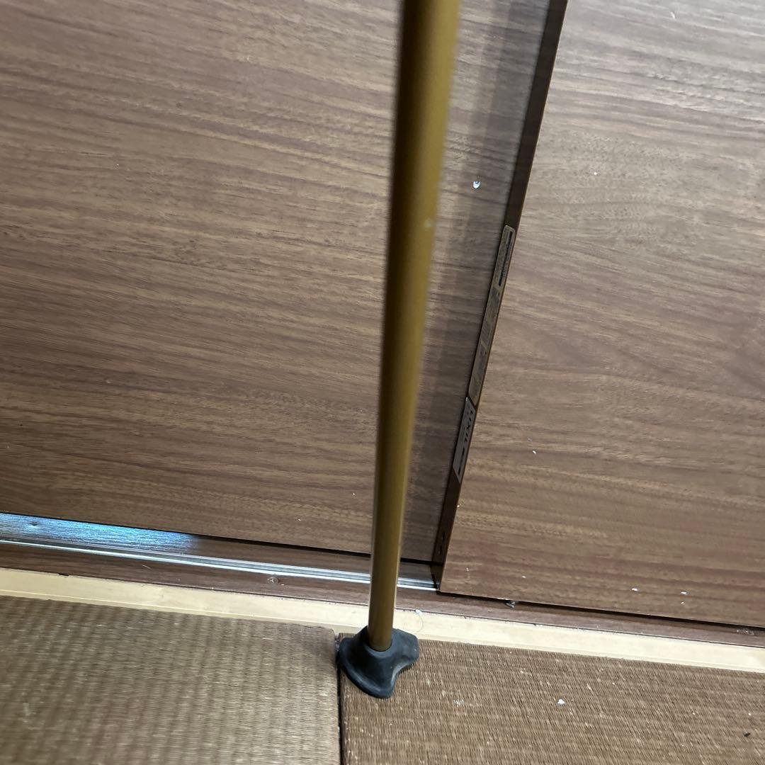 高級感レディース⭐︎レザレクションキャディバッグPavo