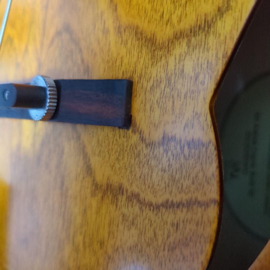 Godin 5th Avenue アコースティックギター ギグバッグ付