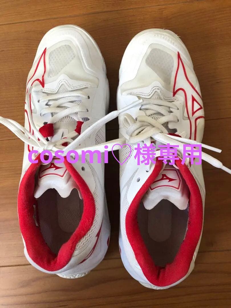 (MIZUNO)バレーボールシューズ ウエーブライトニング Z8 /24cm/白