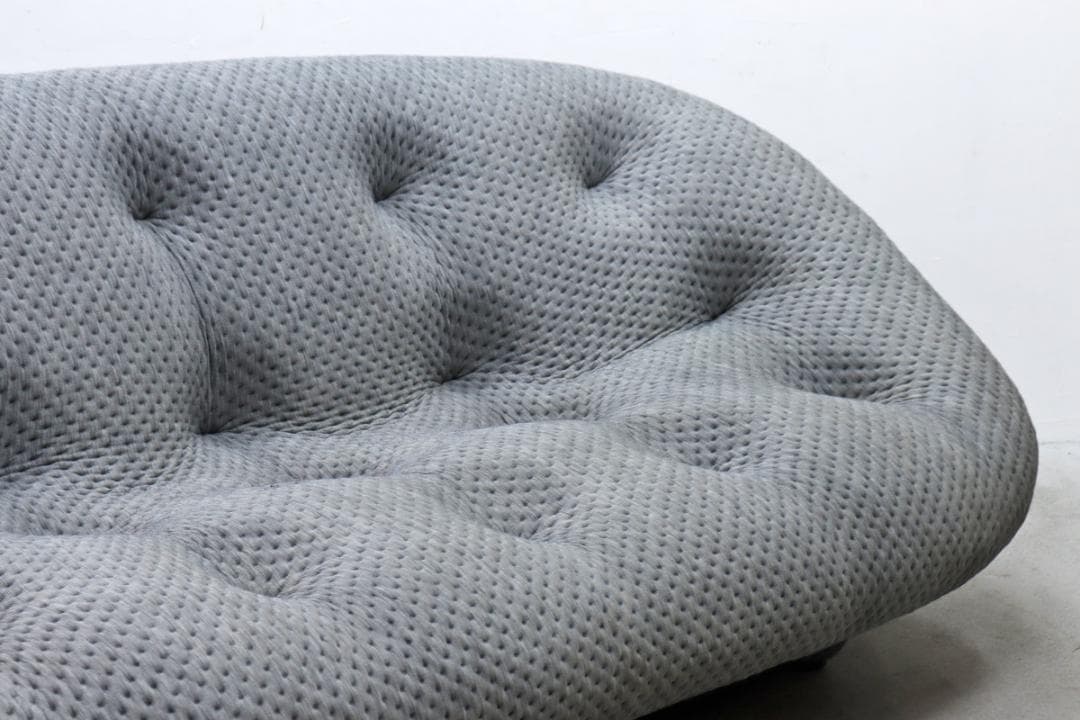 リーン ロゼ Ploum プルム 2P ソファ フランス モダン