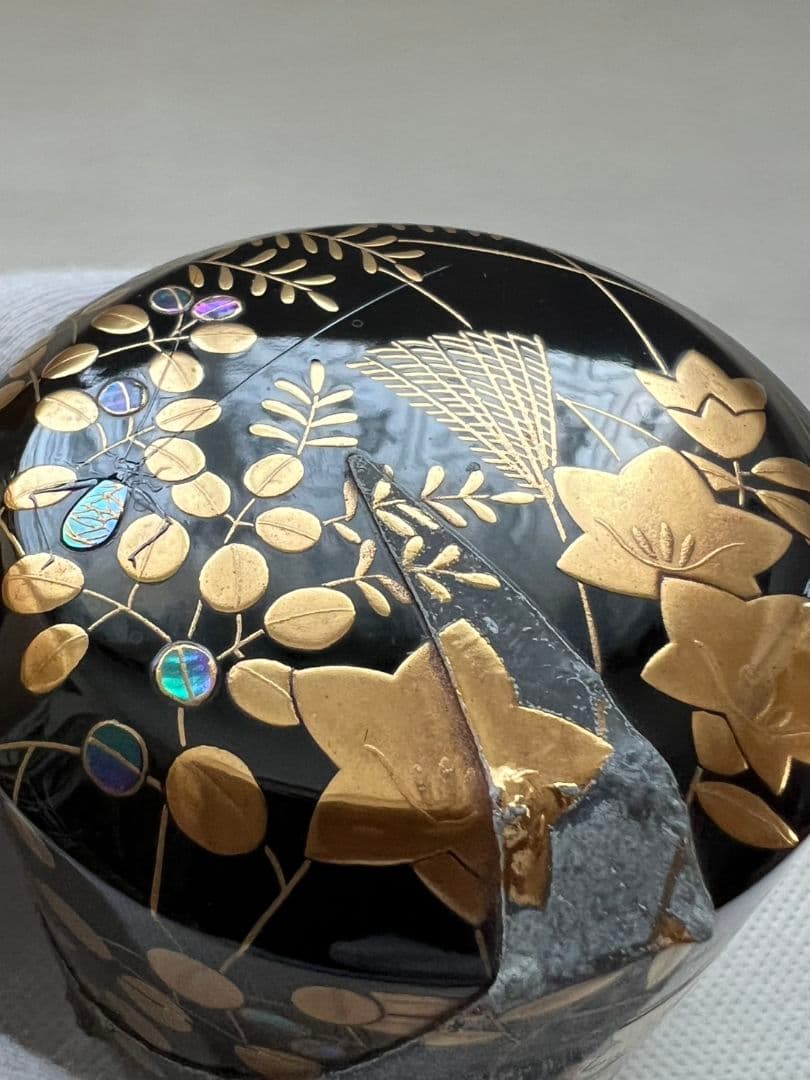 武蔵野 雪吹(ふぶき)棗 3代清石 (川谷内正廣) 堀内宗完箱書き 茶道具