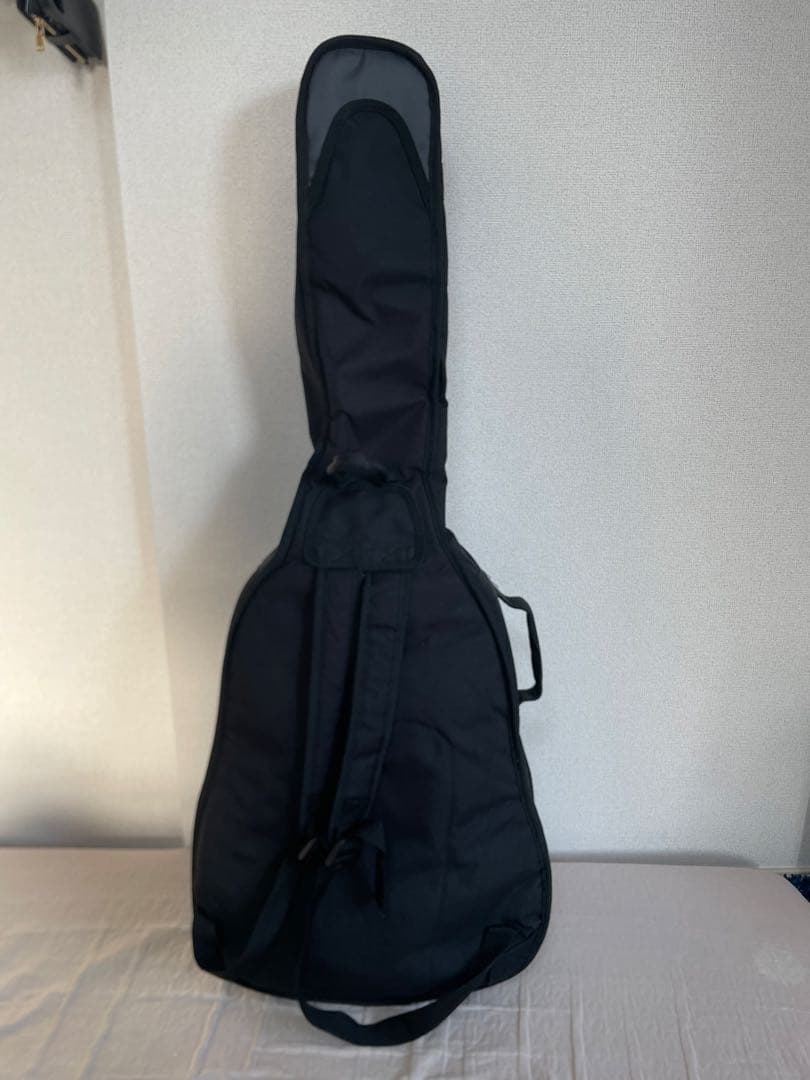 ARIA アコースティックギター ADW-200BS RITTER ソフトケース