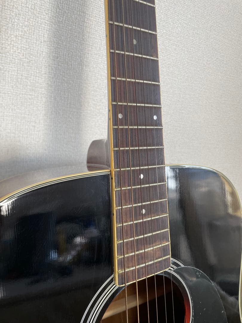 ARIA アコースティックギター ADW-200BS RITTER ソフトケース