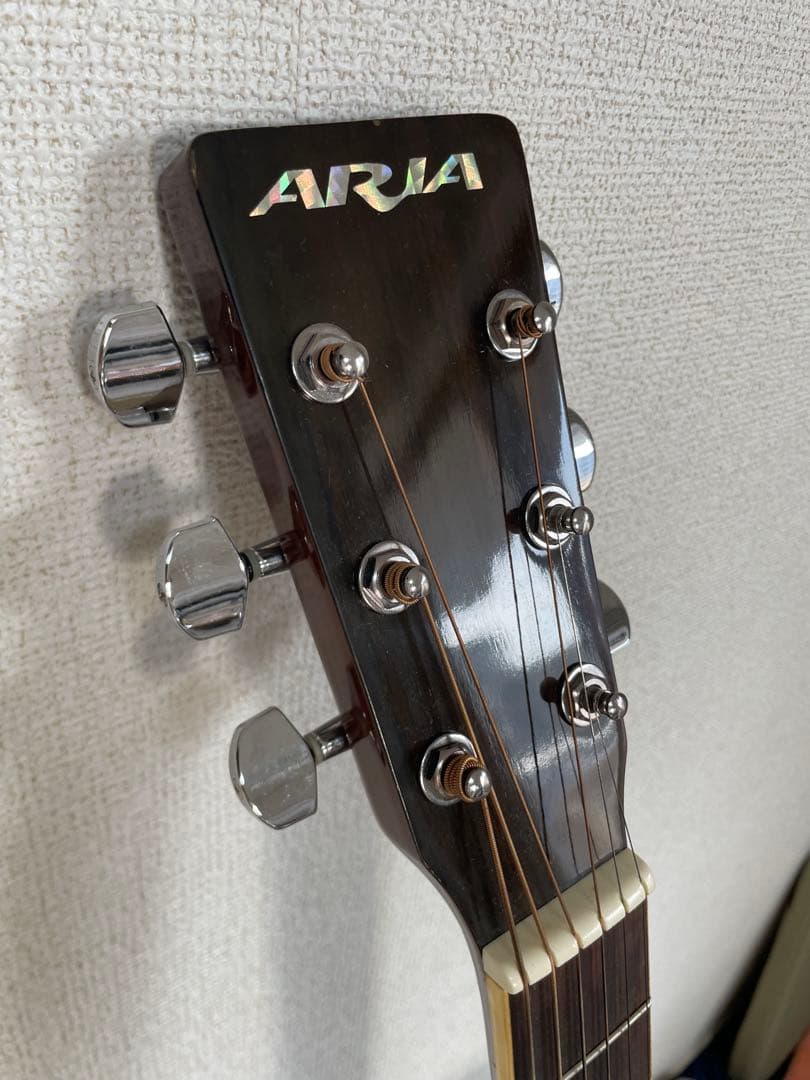 ARIA アコースティックギター ADW-200BS RITTER ソフトケース