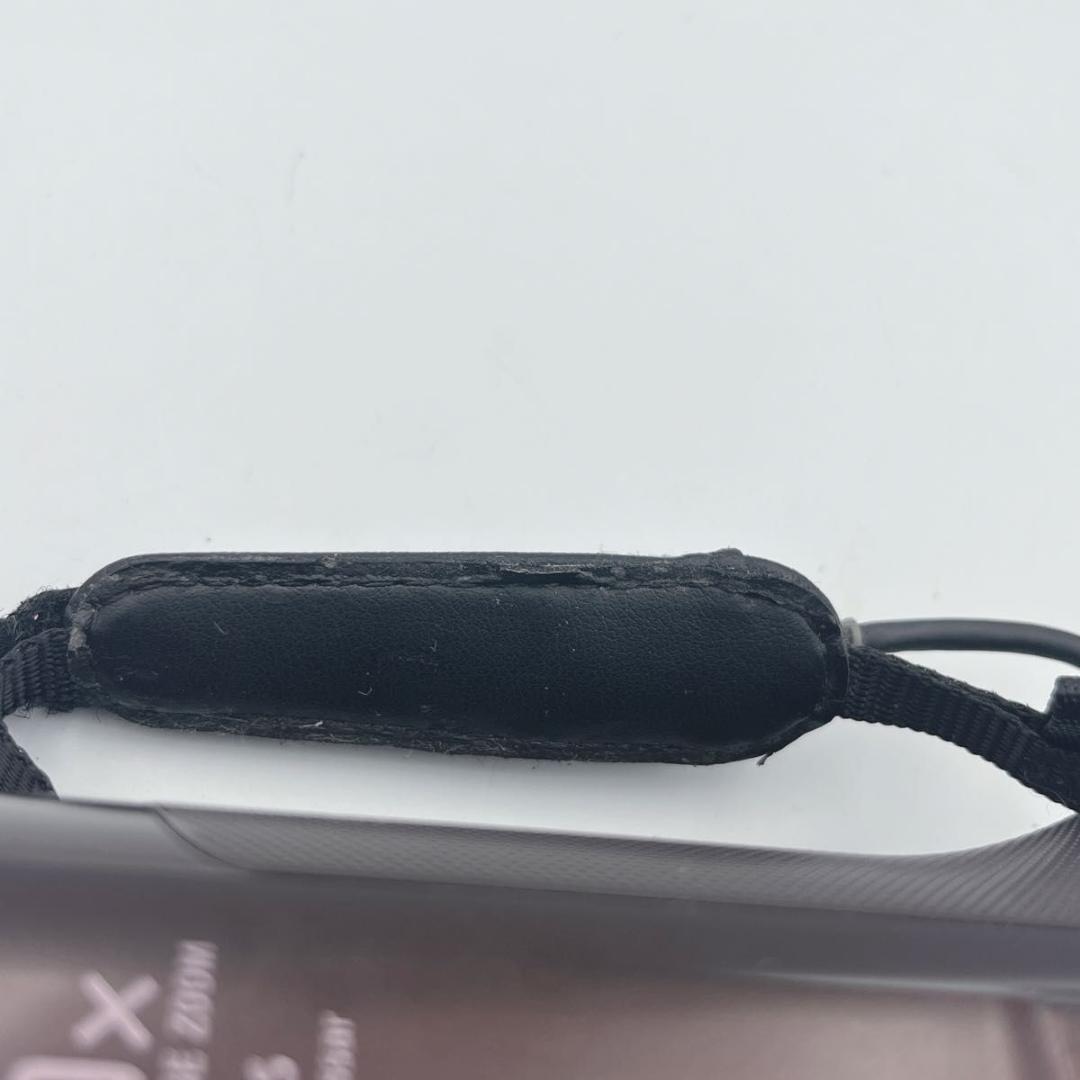 【動作品】SONY　HDR-CX480 デジタルビデオカメラ チャージャー付属