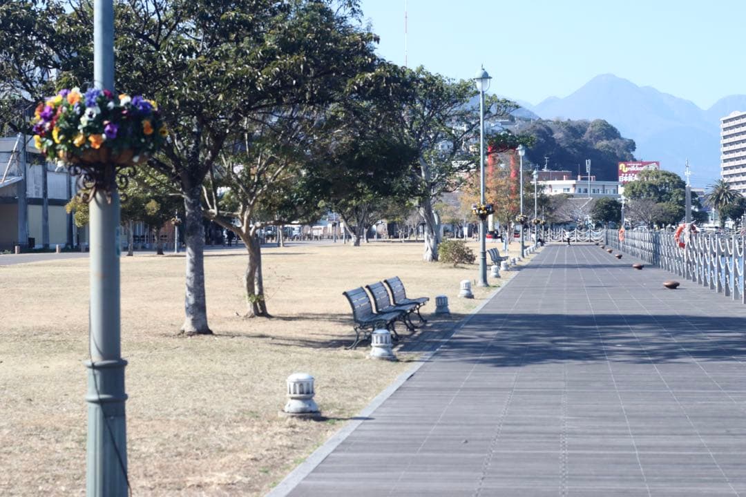 ★ OLYMPUS OM-1N + ★ 標準レンズ50mm