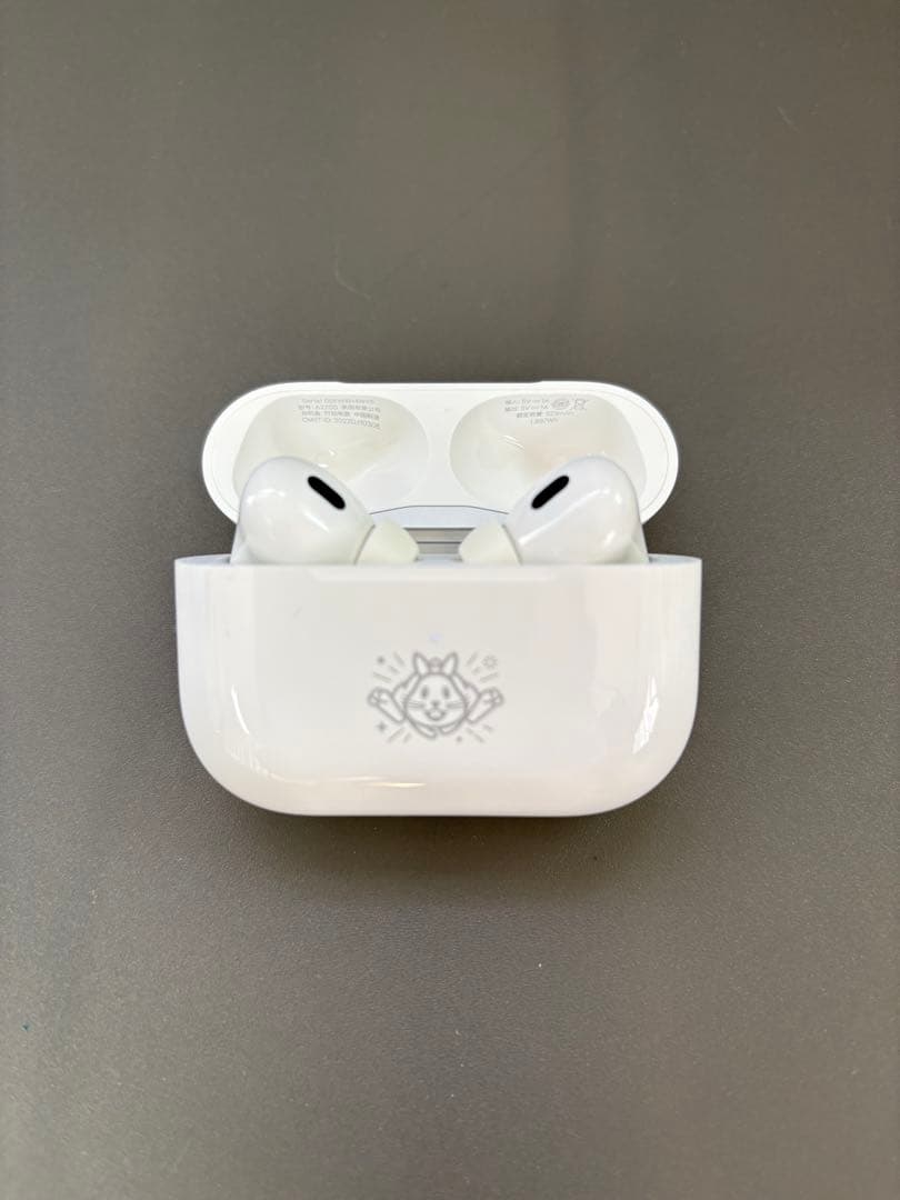 【訳あり】美品AirPodsPro 第2世代/Ligtning <No1725>