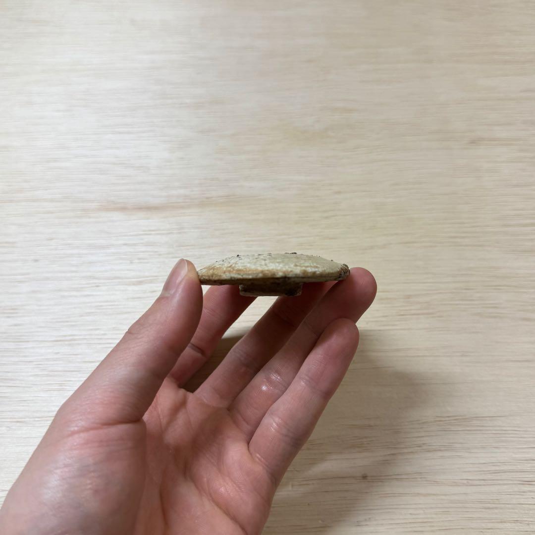 古瀬戸 小壷 蓋物 鎌倉時代 山茶碗 古美術 骨董 古常滑 古信楽 古美濃