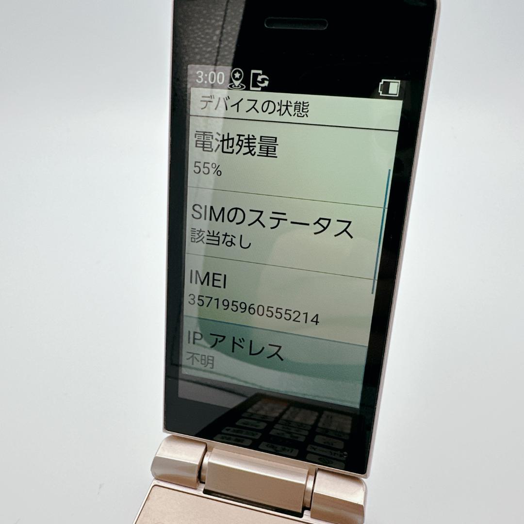 【概ね美品】SoftBank かんたん携帯11 A207SH 動作問題なし