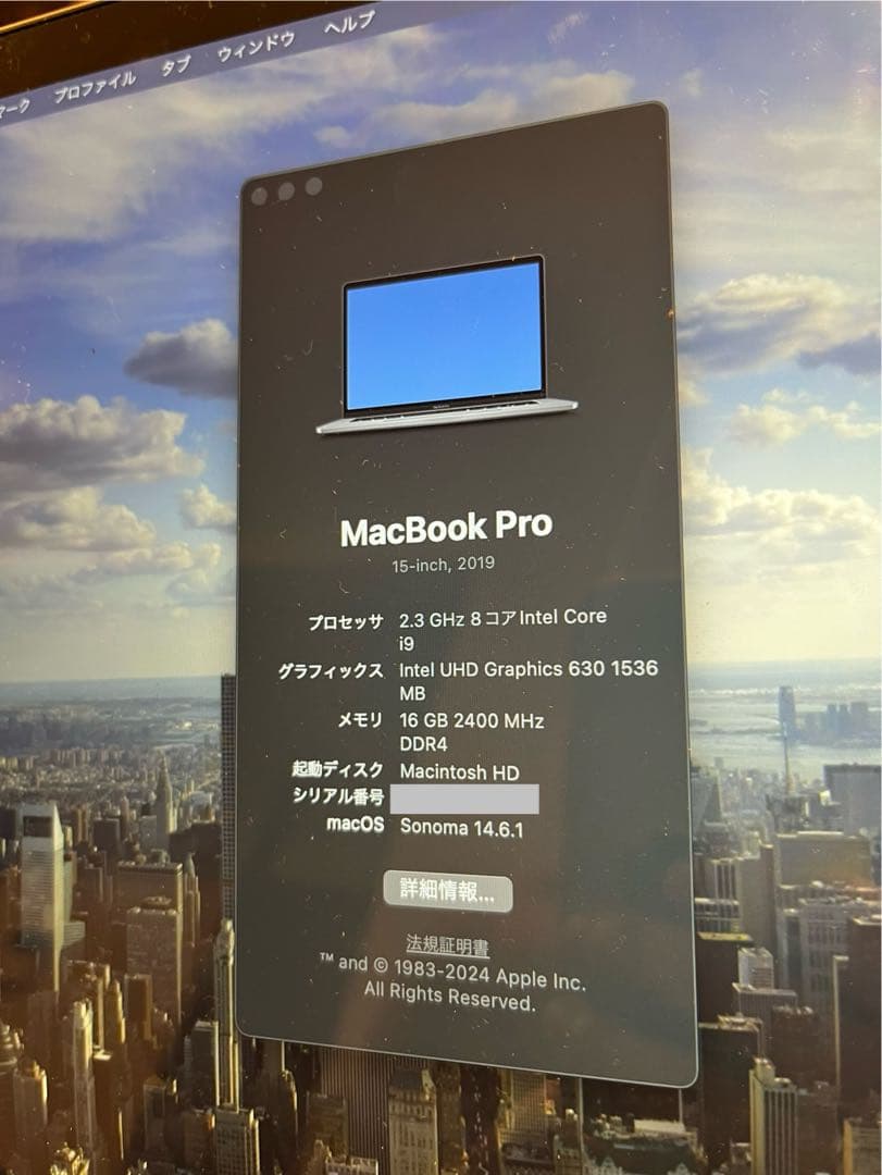 Mac Book Pro 15インチ　2019