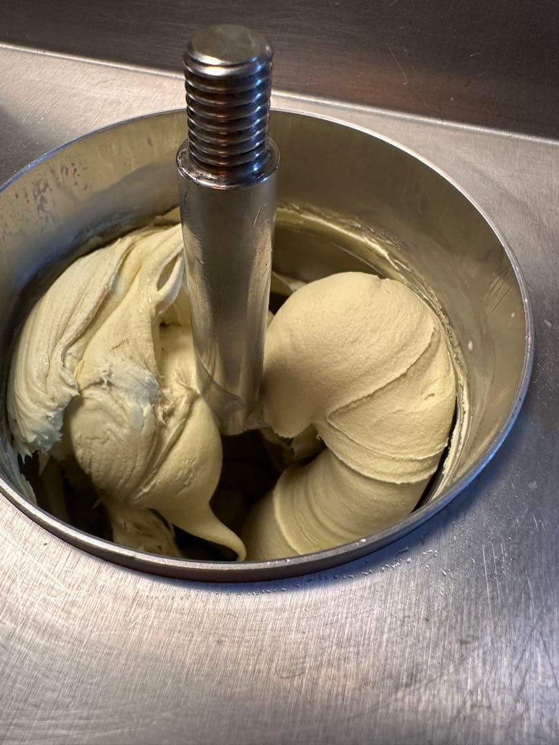 CARPIGIANI カルピジャーニ　アイスクリームメーカー　ジェラートマシン