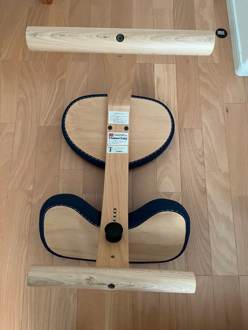 サカモト　バランスイージー バランスチェア 姿勢改善　Rybo リボ社