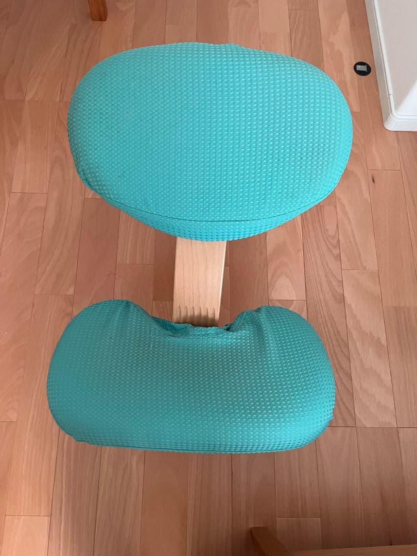 サカモト　バランスイージー バランスチェア 姿勢改善　Rybo リボ社