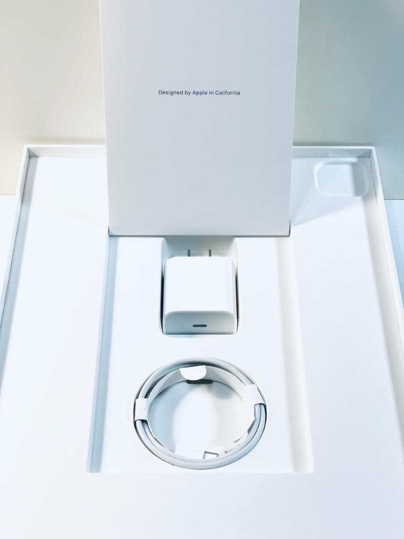 新品同様 iPad Pro 12.9インチ 第5世代Cellular 256GB