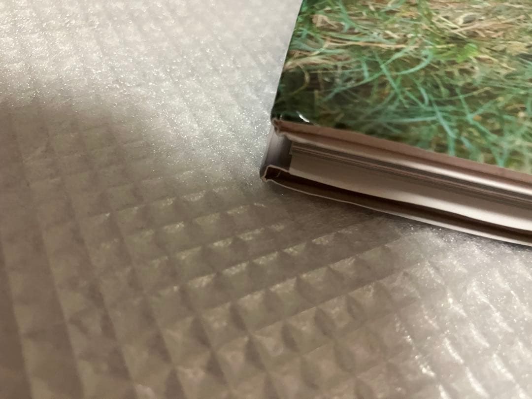 桜サクトキ 篠崎愛写真集　初版　帯付き