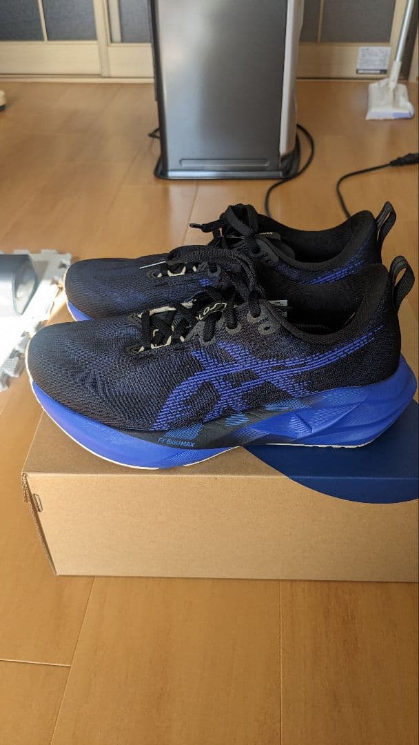 ASICS ノヴァブラスト5 NOVABLAST5 25.0cm