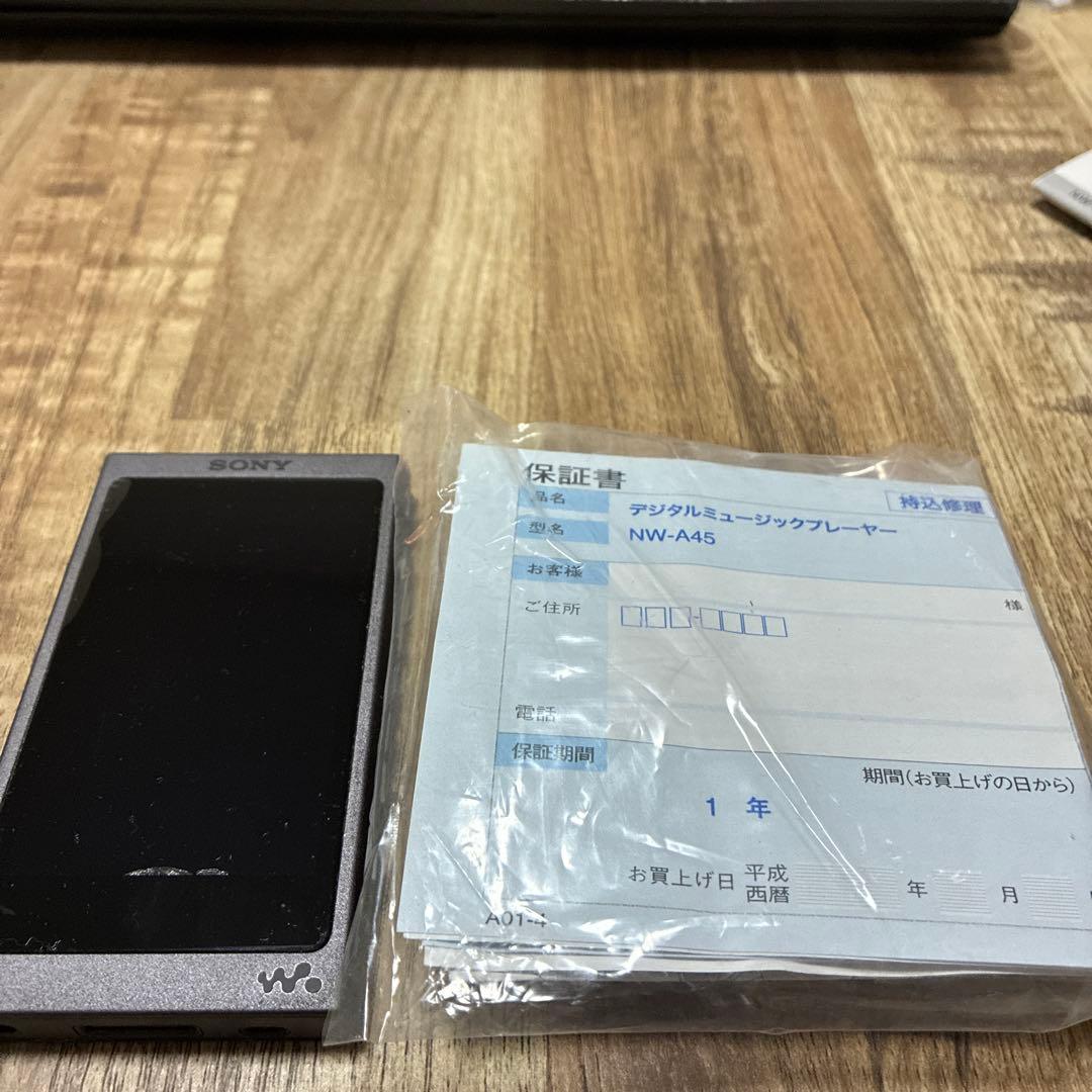 SONY ウォークマン NW-A45
