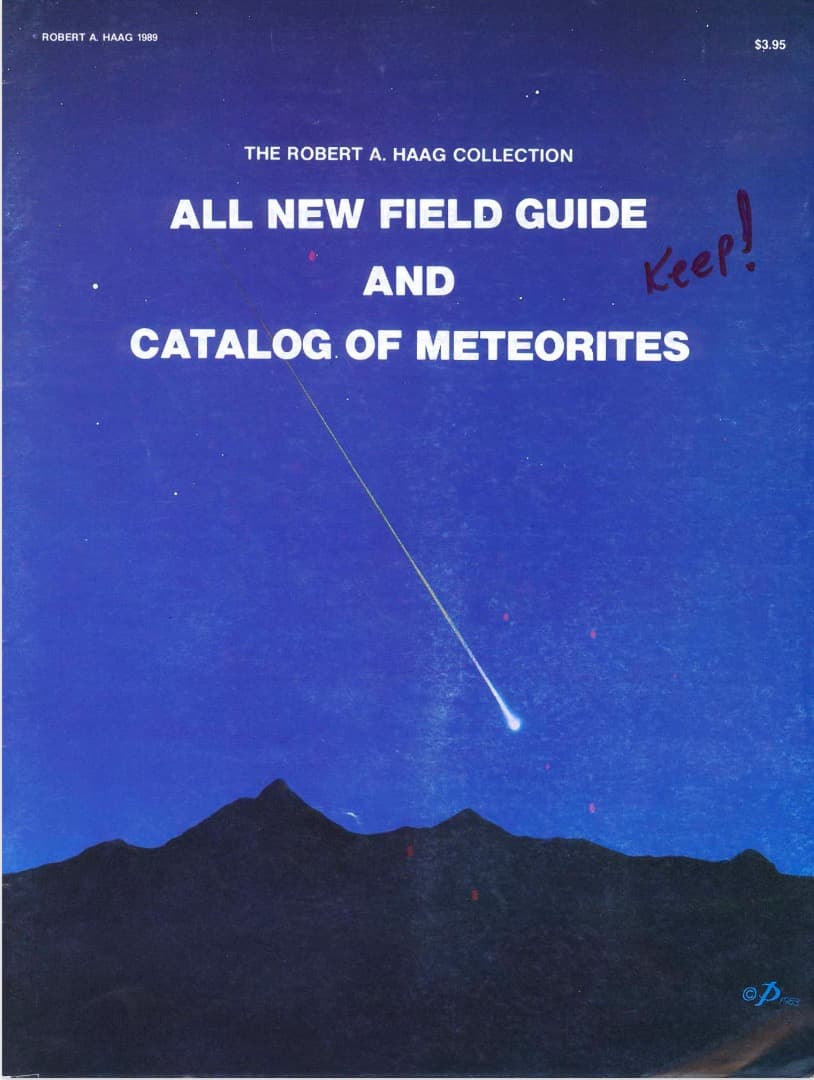 隕石ペンダント スギライト付き①