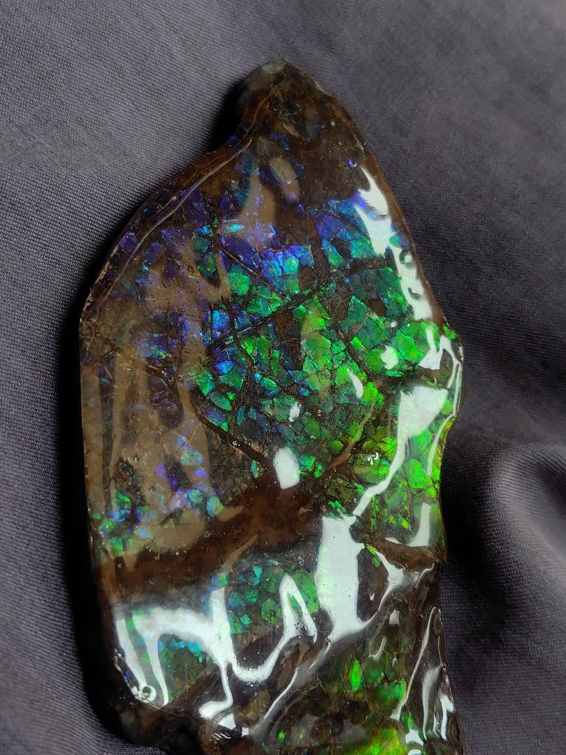 アンモライト　　　鉱物　宝石　化石　アンモナイト　原石