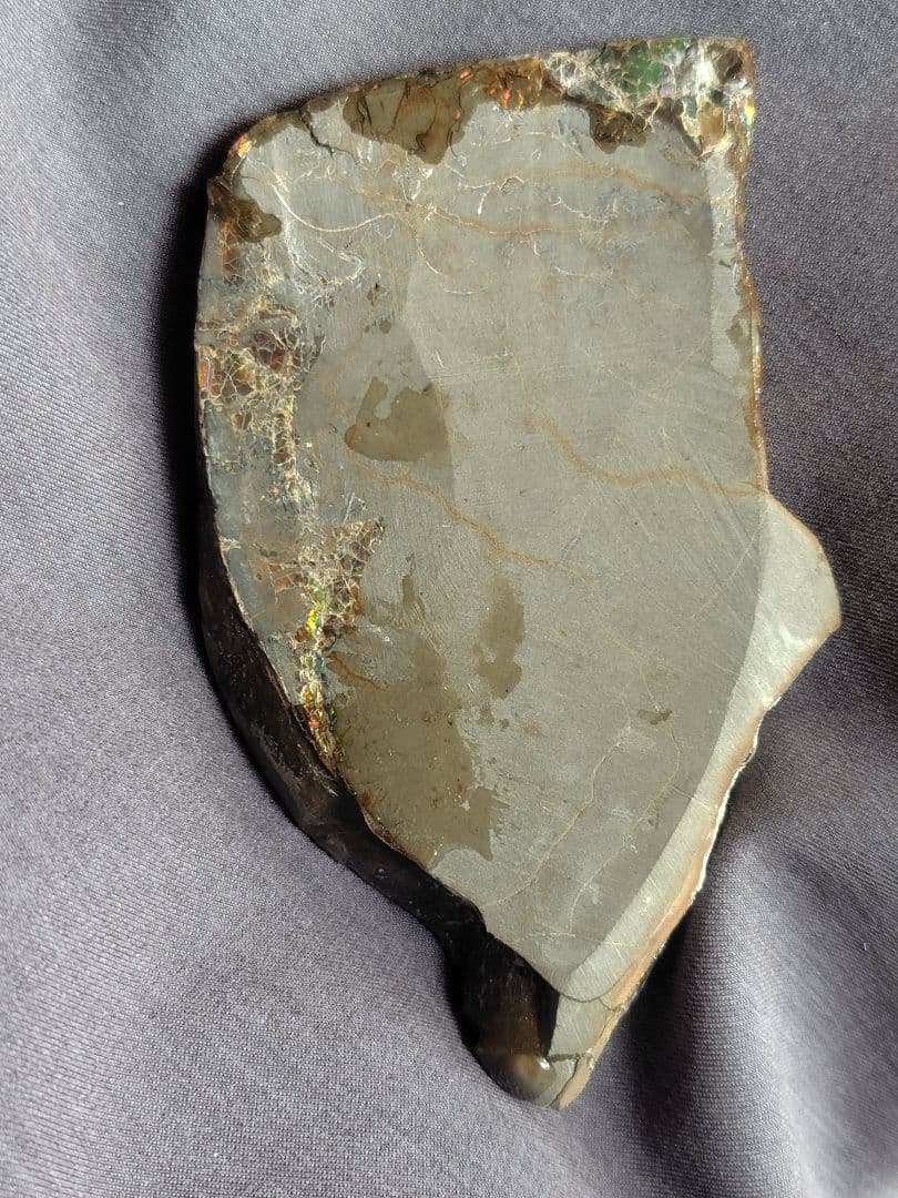 アンモライト　　　鉱物　宝石　化石　アンモナイト　原石