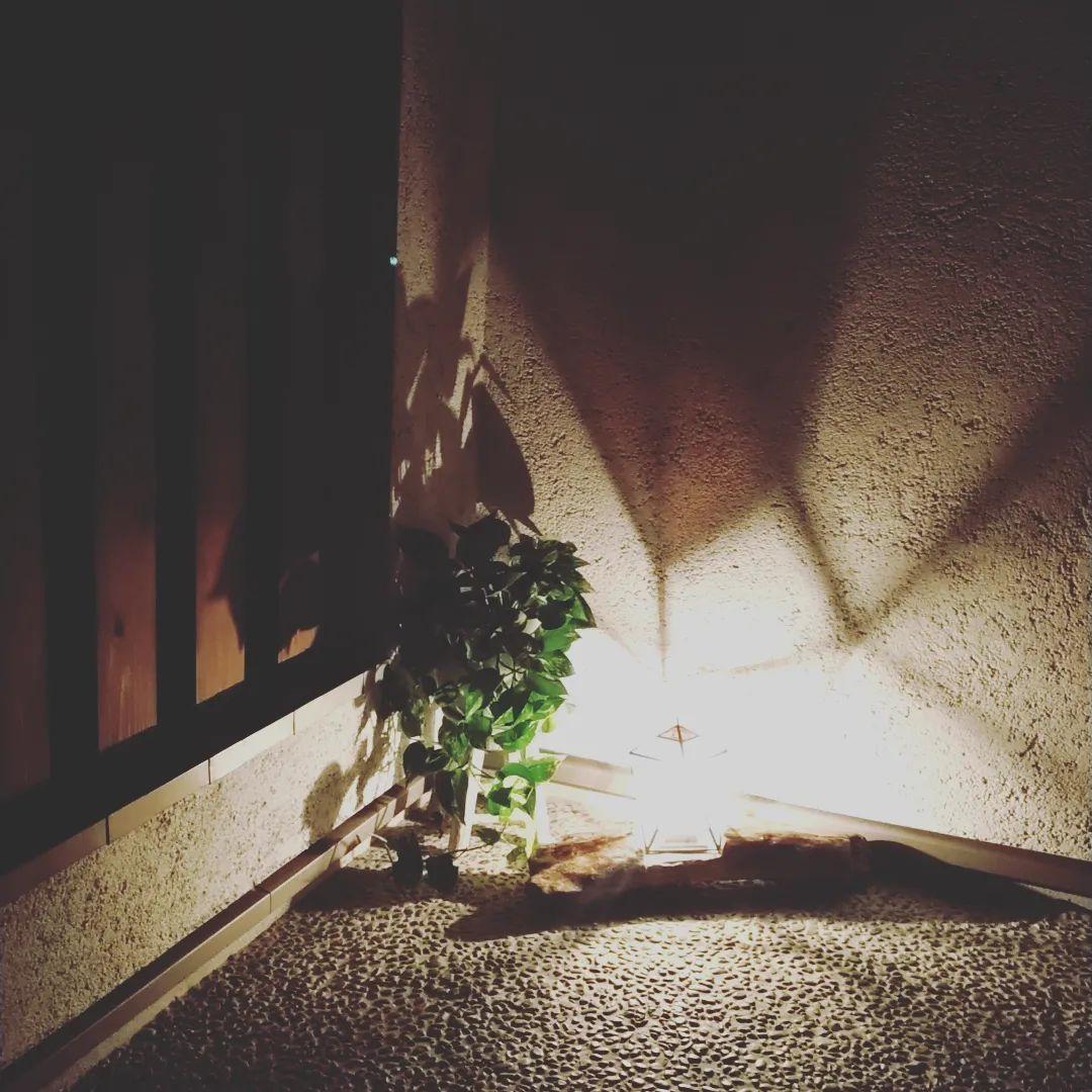 流木ガーデンライト　ハンドメイド　防水仕様